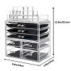 5 Drawer Acrylic Jewelry and Clear Cosmetic Makeup Organizer