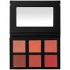 SHANY Shimmer, Matte Powder Blush Palette with Mirror