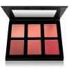 SHANY Shimmer, Matte Powder Blush Palette with Mirror