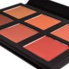 SHANY Shimmer, Matte Powder Blush Palette with Mirror