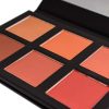 SHANY Shimmer, Matte Powder Blush Palette with Mirror