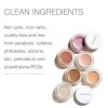 RMS Beauty Signature Set, Mod Collection - Organic Makeup