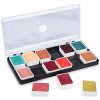 Narrative Cosmetics 12 Color Complexion Alcohol Activated