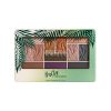 Butter Eyeshadow Palette Physicians Formula