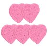 Facial Cleansing Scrubbing Sponges Makeup Cosmetics Remover