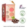 Bright Contour Highlight Blush Makeup Palette
