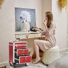 Makeup Trolley Professional Artist Rolling Train Case
