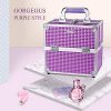 Frenessa Makeup Train Case Beauty Cosmetic Box