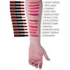 SHANY Cosmetics Lipstick Set of 12 Long-lasting