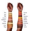Top Influencer Professional Eyeshadow Palette all finishes