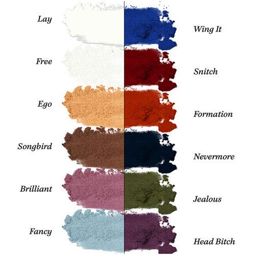 51dbbs8sT3L Pretty Vulgar - Throwing Shade Eyeshadow Palette