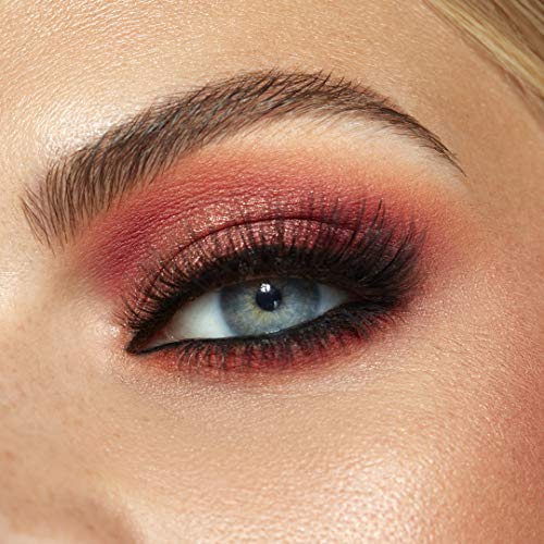 Sigma Beauty 14 Shade Eyeshadow Makeup Color