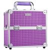 Frenessa Makeup Train Case Beauty Cosmetic Box